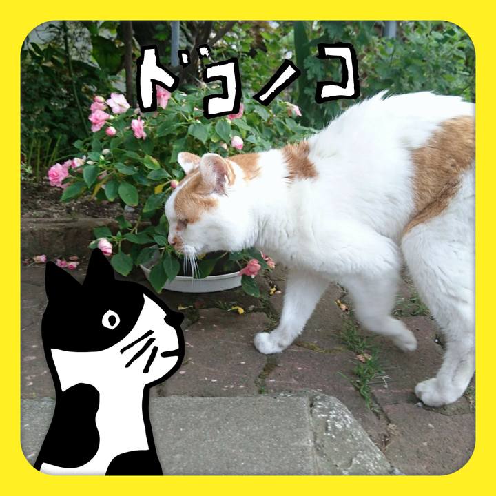 A73cb992 20a6 4d41 86b4 c91fc6eb320c 1622910612255