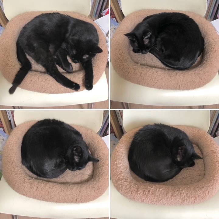 A73cf5a5 4e44 4398 8210 2009e7587630 1619249646720