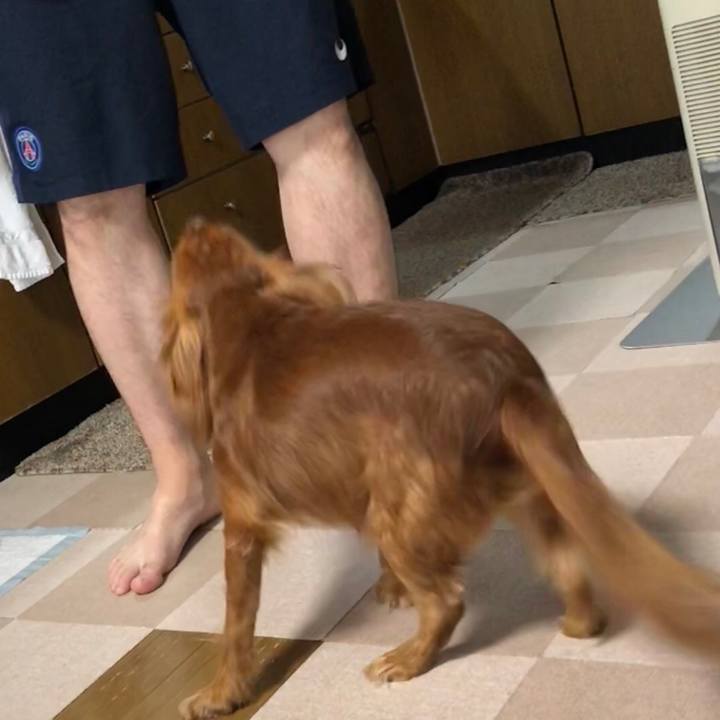 A73d0a89 2b49 4606 a16c 3eef59ba874a 1538691006049