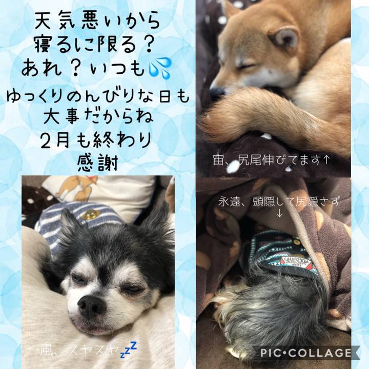 A73d27bd 54d3 4bea 81d6 1d8dba16a662 1551325670260