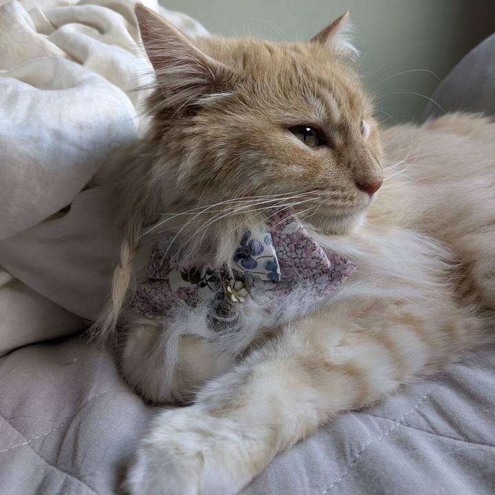 A73d404e 04ca 4516 acde bc7cf0089458 1752388337034