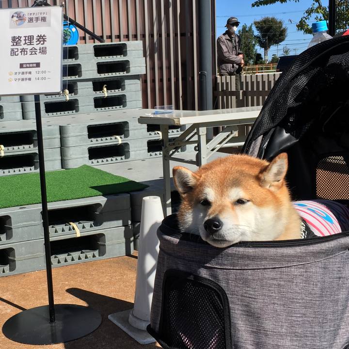 A73d4999 3379 4c44 9fc7 500e4be67e3d 1603594575153