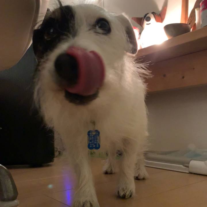 A73d6e14 57a5 4c63 aad5 f6b5035d8ee9 1735561478350