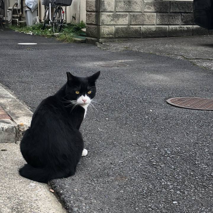 A73d8717 7d3d 4ab5 b8e0 d4163188885a 1538570255343