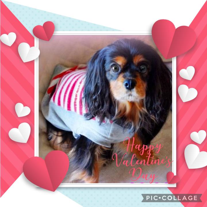 A73db57e c8d2 478a a773 6476afc93f45 1676372942112