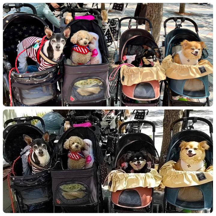 A73e402b cf34 4f57 ab6e 3870b404b65b 1651658082120