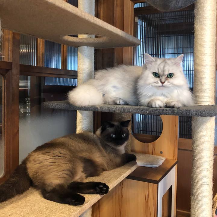 A73e73a6 f70d 4099 a251 fcab3388028e 1627173435182