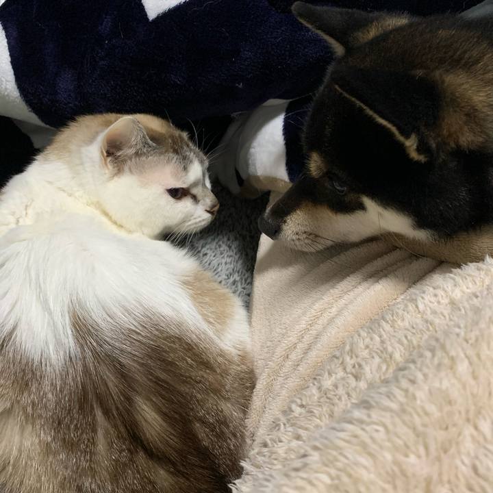 A73eeb90 e5a0 47fc b9f5 150087dd4521 1642161383091