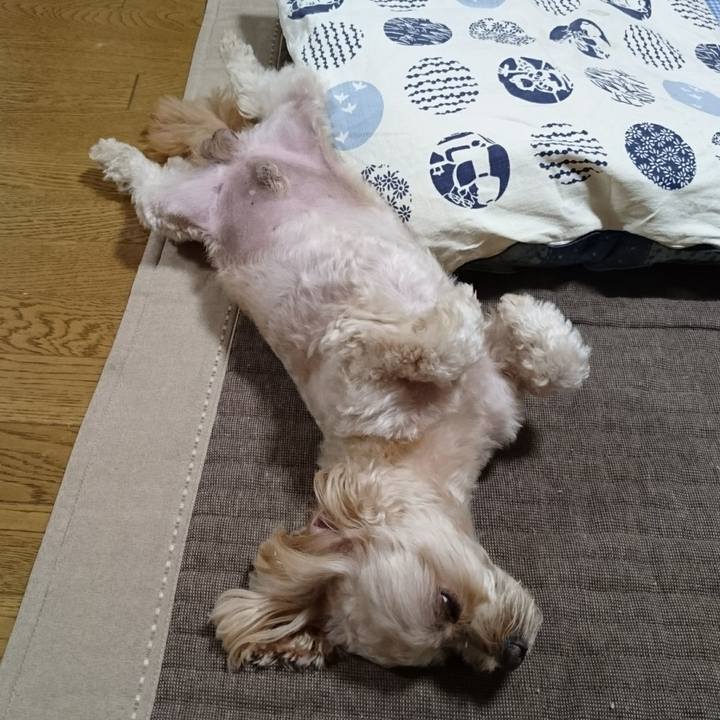 A73f33f2 86c6 4f8f 8bdb cb44a3f5603d 1599377351192