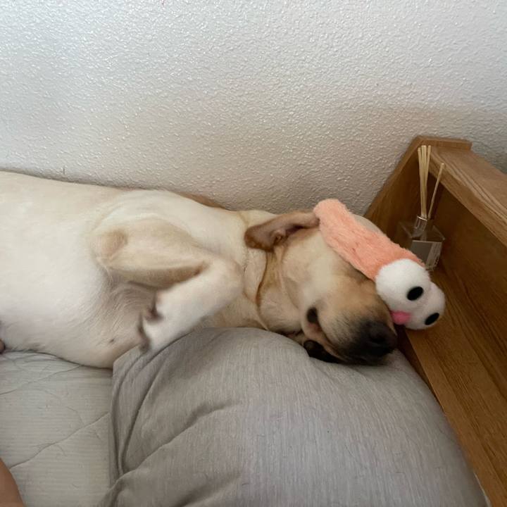 A73fa300 80ef 4241 bf59 674bf8c534fa 1656463449170