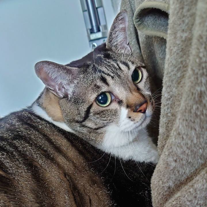 A73fb7da 223c 47cd 95f1 f580eeca2230 1605178881977