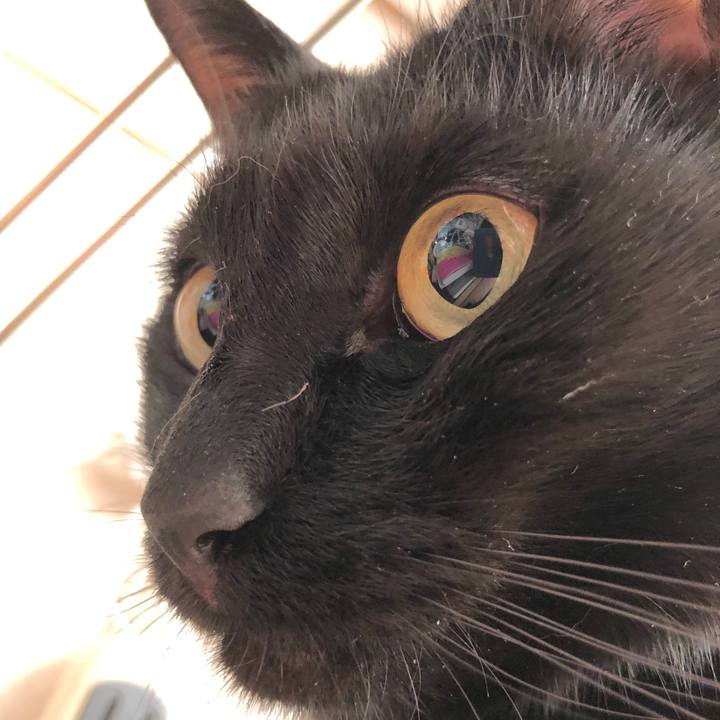 A7400675 727f 44bb b0e5 af19e88b12cb 1557535384998