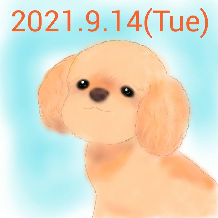 A74024ed 297a 42ad 9fc7 8ab67ff84d00 1631619880099