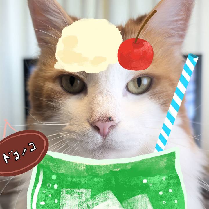 A7402ded bea1 4788 a06e a29af45665fa 1755071207099