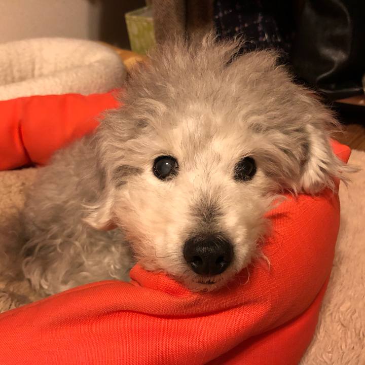 A7403884 ca33 4b8a 840d 807755f321b8 1582630576630