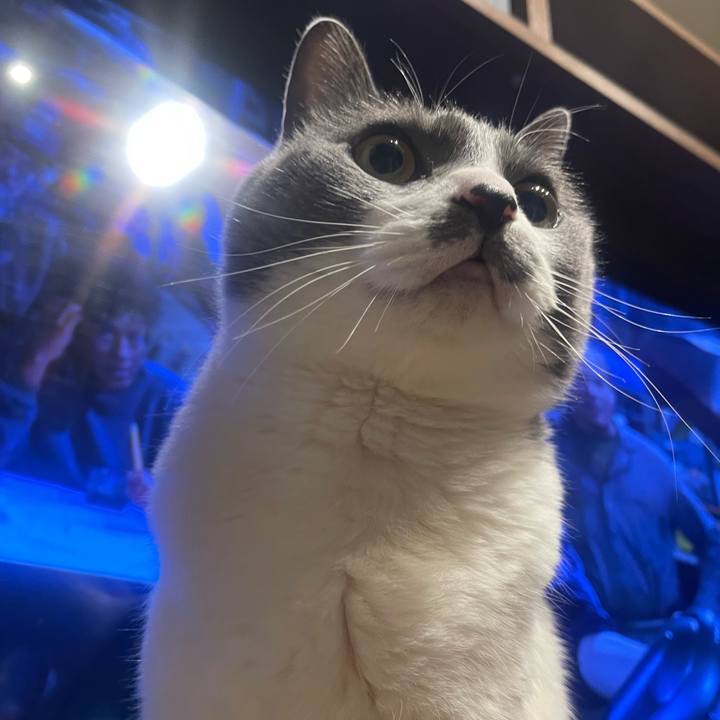 A740836b 63fa 4e81 a4a0 2afc0a73204c 1744482697380