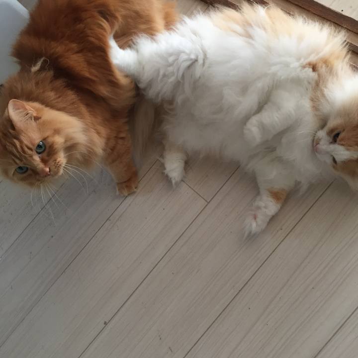 A74095f1 ab2b 4265 9d6e cf31da9f4d4d 1560981974404