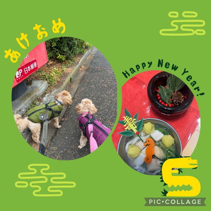 A740cb91 44fe 4138 84fc 31887bc3b40a 1704244472563