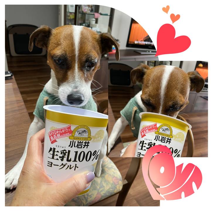 A740dfeb ab41 41a5 9fd1 ef79376e6be8 1654841796865