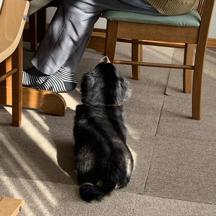 A740fb8c 6046 41db b0c9 dc117138f041 1588889058836