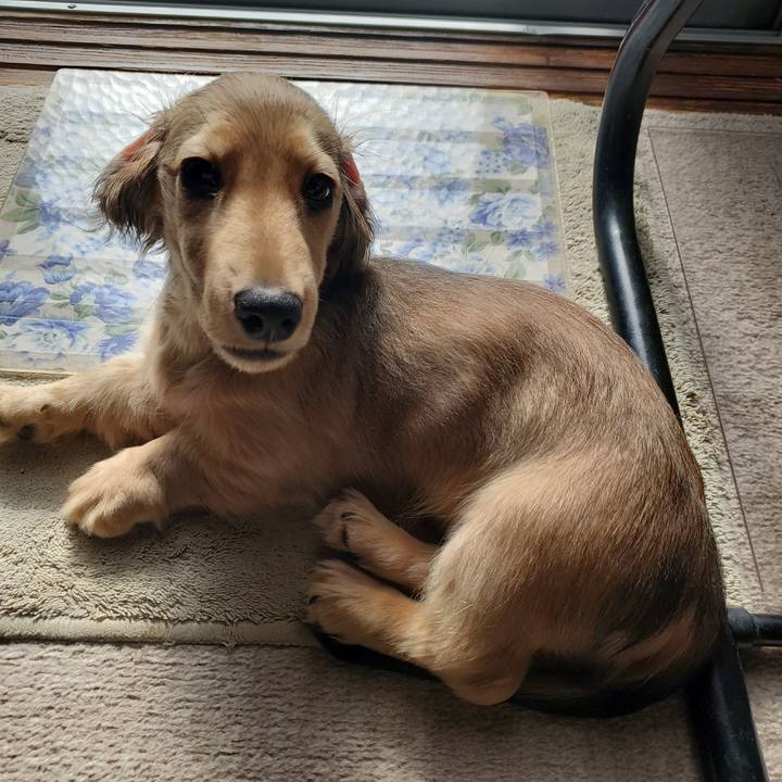 A741195e 586f 492f b6b4 8a38076dc2ce 1763258444609