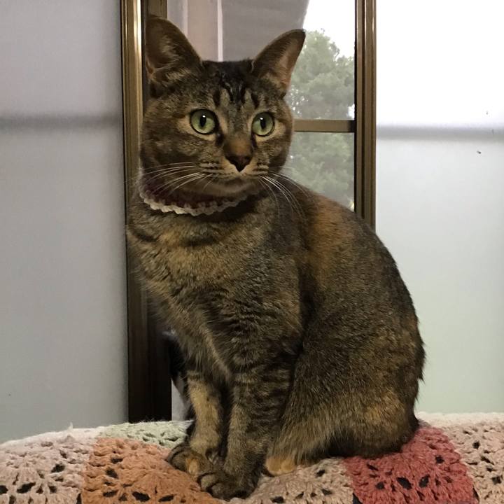 A74119eb 751b 4cb4 be95 d90957b7ed31 1650275397740