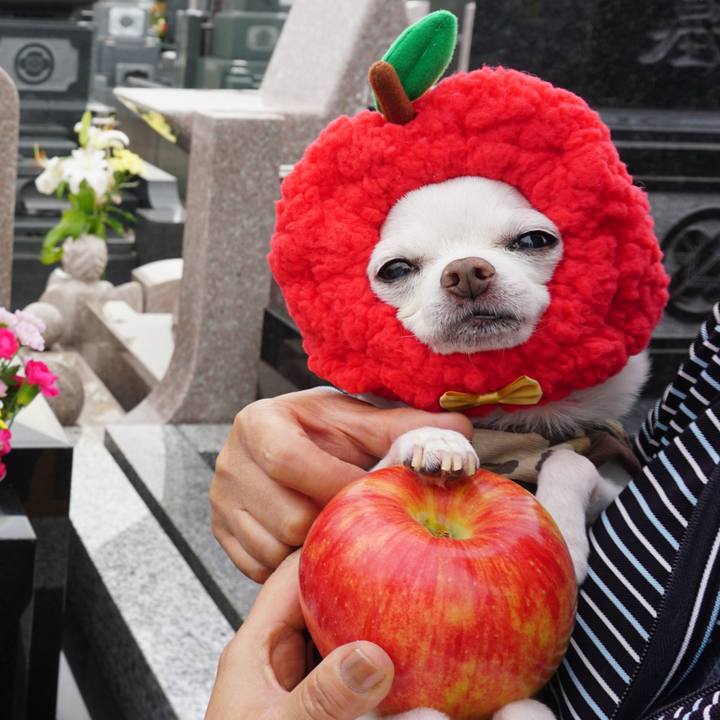 A7411b14 f93a 49c5 9d4a ba23818b9ff8 1569034967338