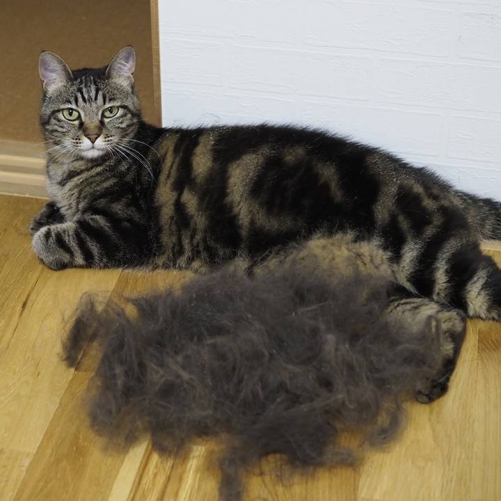 A7412ab8 c028 4fb2 aff3 3fb08a7e69d8 1657285425566