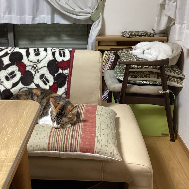 A7412df7 7d24 48cc b5f2 8c98ad5cc419 1668293320181