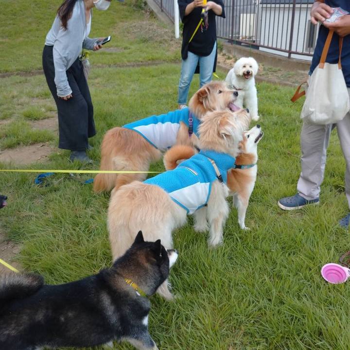 A7415131 0962 4d5e 8354 7476947b5e5b 1660549109509