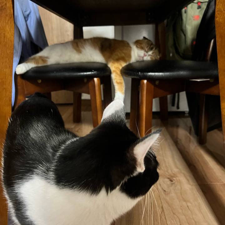 A7415369 f44b 426c 99d3 006ea3723957 1698502478322