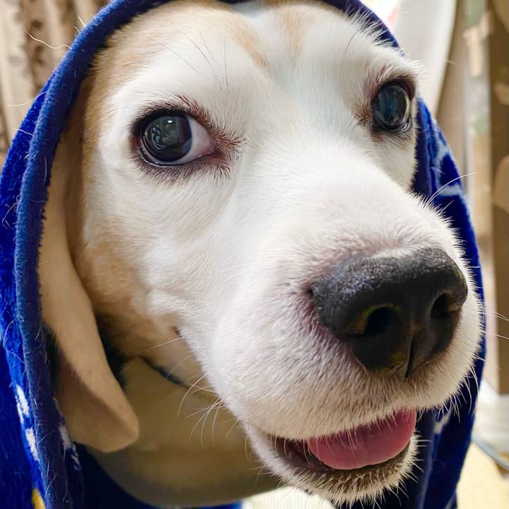 A741554c b72f 4fc0 a164 3dd6d64c0e0b 1619322704757