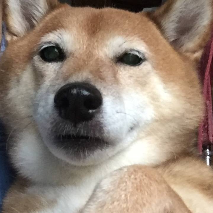 A7415757 5759 4294 bd2a 3b62a31af42a 1564390789683