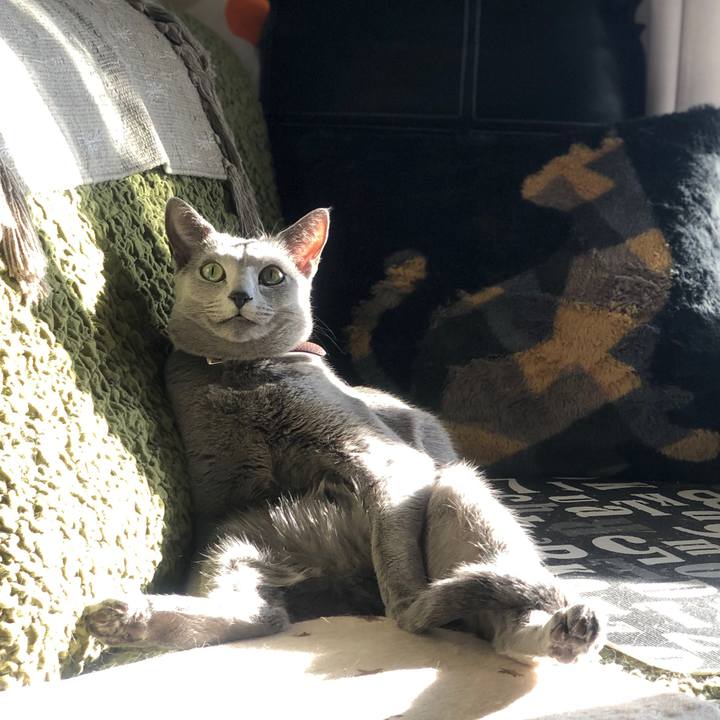 A7415d56 c160 48c4 9615 6acfaf6d53f4 1551620924542