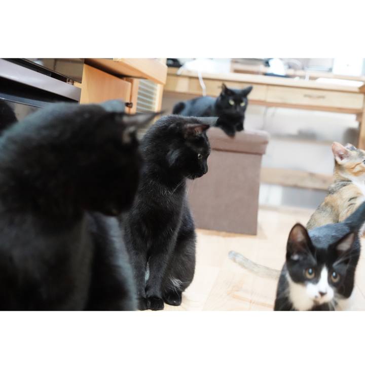 A741c83a 6916 4a59 88fb 7d99b30d4b8f 1569422428722