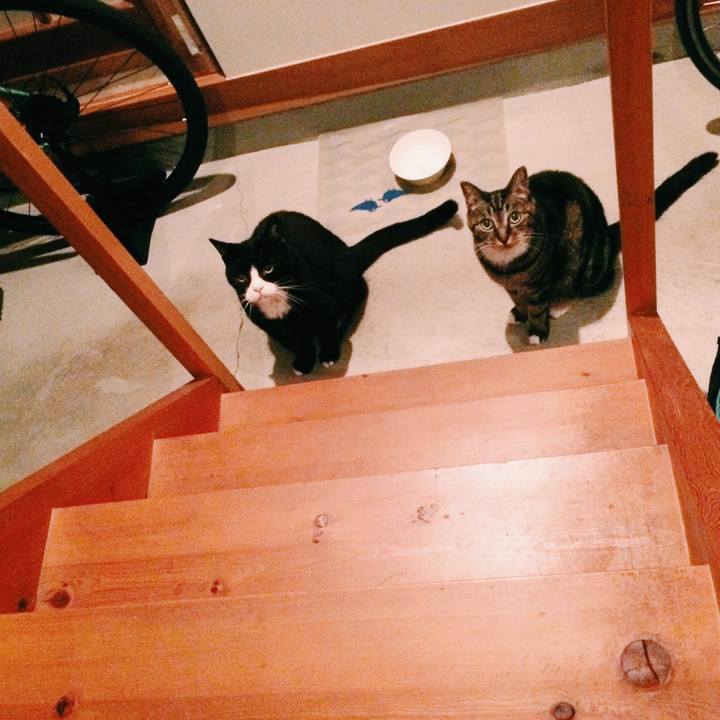 A741cd6e dd3b 4e2b 875a 1cf663a8f605 1567852793008