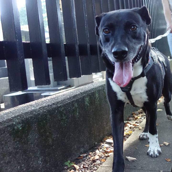 A741d6a9 1a19 4ade 890a ecd44a05549f 1656546844499