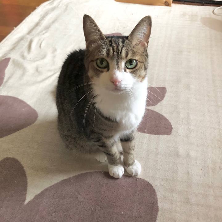 A741daa5 fcca 4c02 8122 93b874400372 1687167831385