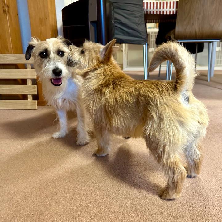 A741f0a5 fbf5 40f5 aef0 48e4ddea0cc3 1711675650302