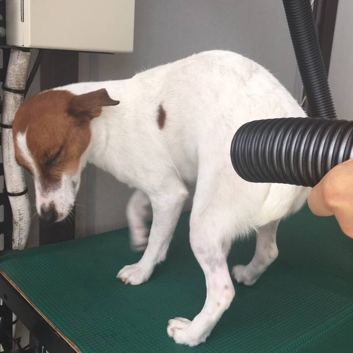 A7422307 dc8e 4ad1 9ed4 c51e07b1f977 1519044502312