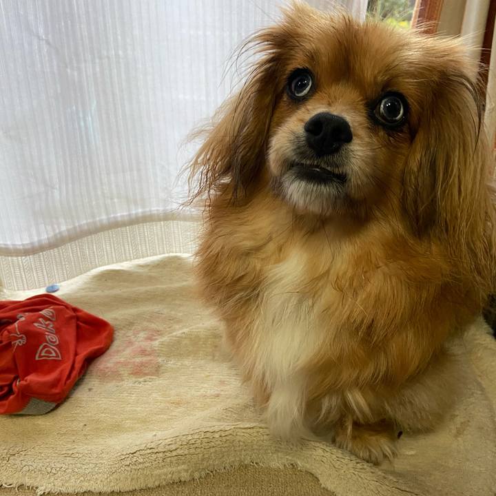 A7424102 9de6 43bd 9a0f b38d8d83172c 1583629204635