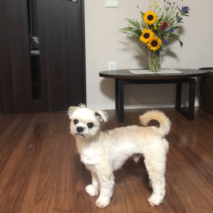 A7424ef6 f208 49db 8a0f d13aed73b4c0 1536359806328