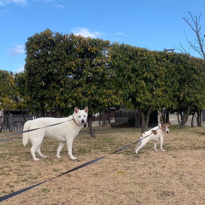 A74295ea 90f5 4b10 98fc aefd1ab34462 1546393851701