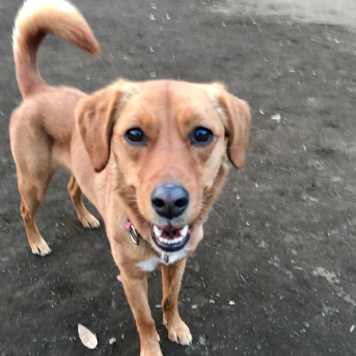 A7429903 9f74 49b7 8182 ebc482a8fdb3 1519739140490