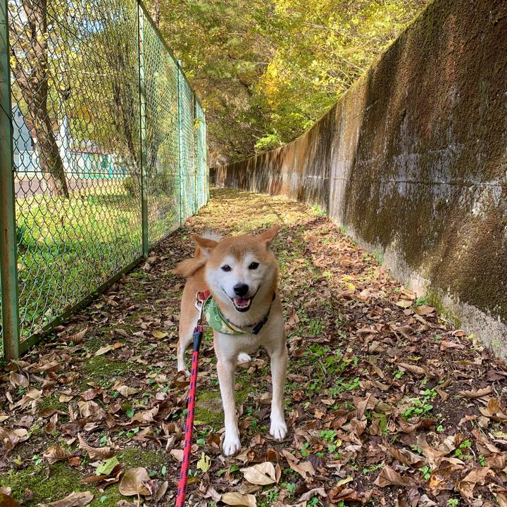 A742a9bd 0370 4dbf 9d1f 4a879e1f2f24 1636540585277