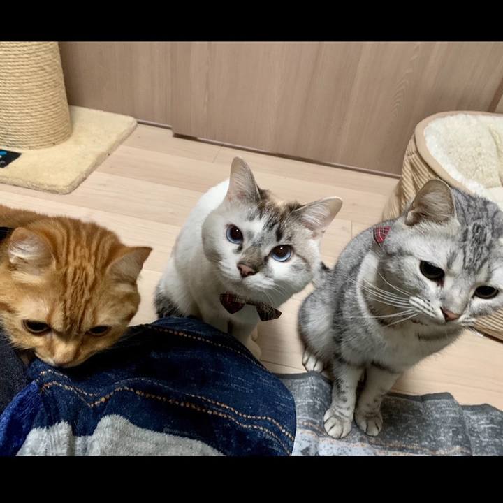 A742d66b fc07 41ac 985f 2545f53e8f9b 1583834011130