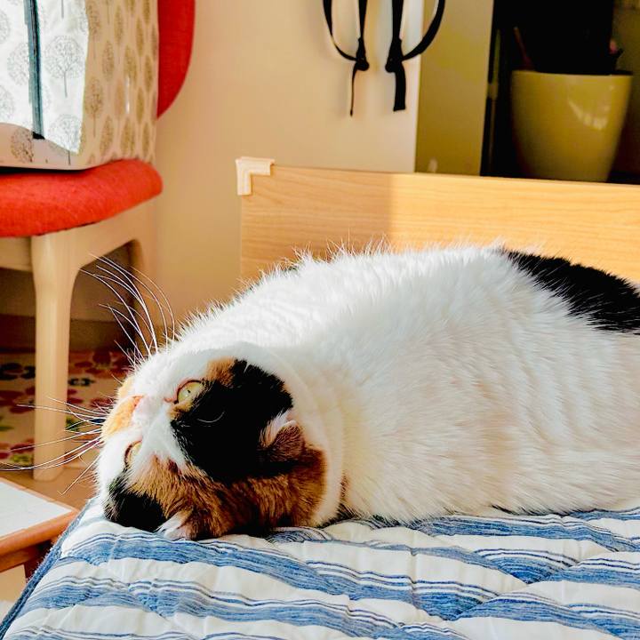 A7430150 06a4 4771 8715 44d1f3921c45 1698191451521