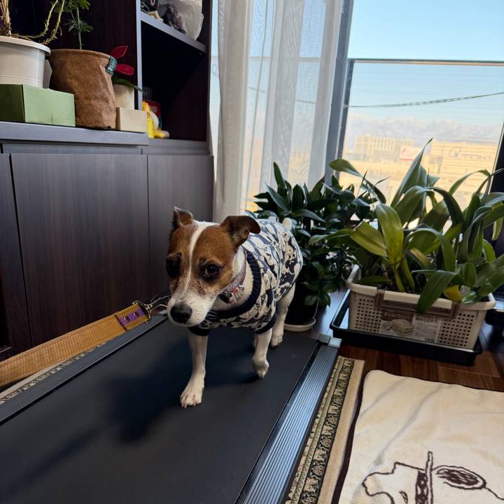 A743cb7b e8d3 424e bffe 106cbfef203d 1771493968916