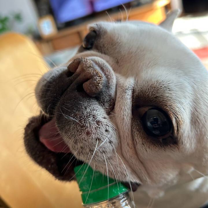 A743cc93 4b2e 4c26 8cb5 bf51eaf0fd95 1773809982960