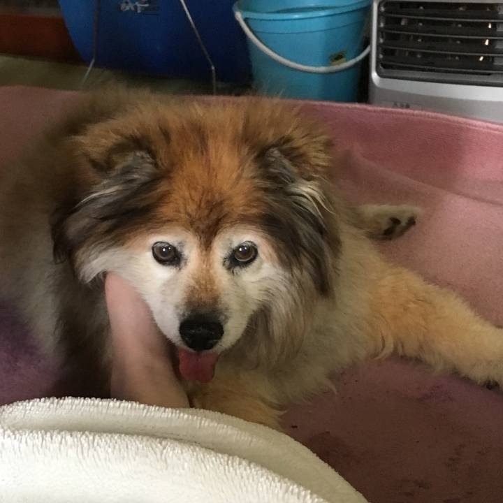 A743cd69 c3a6 4fa4 82a7 613ad0ee7e57 1595262348964